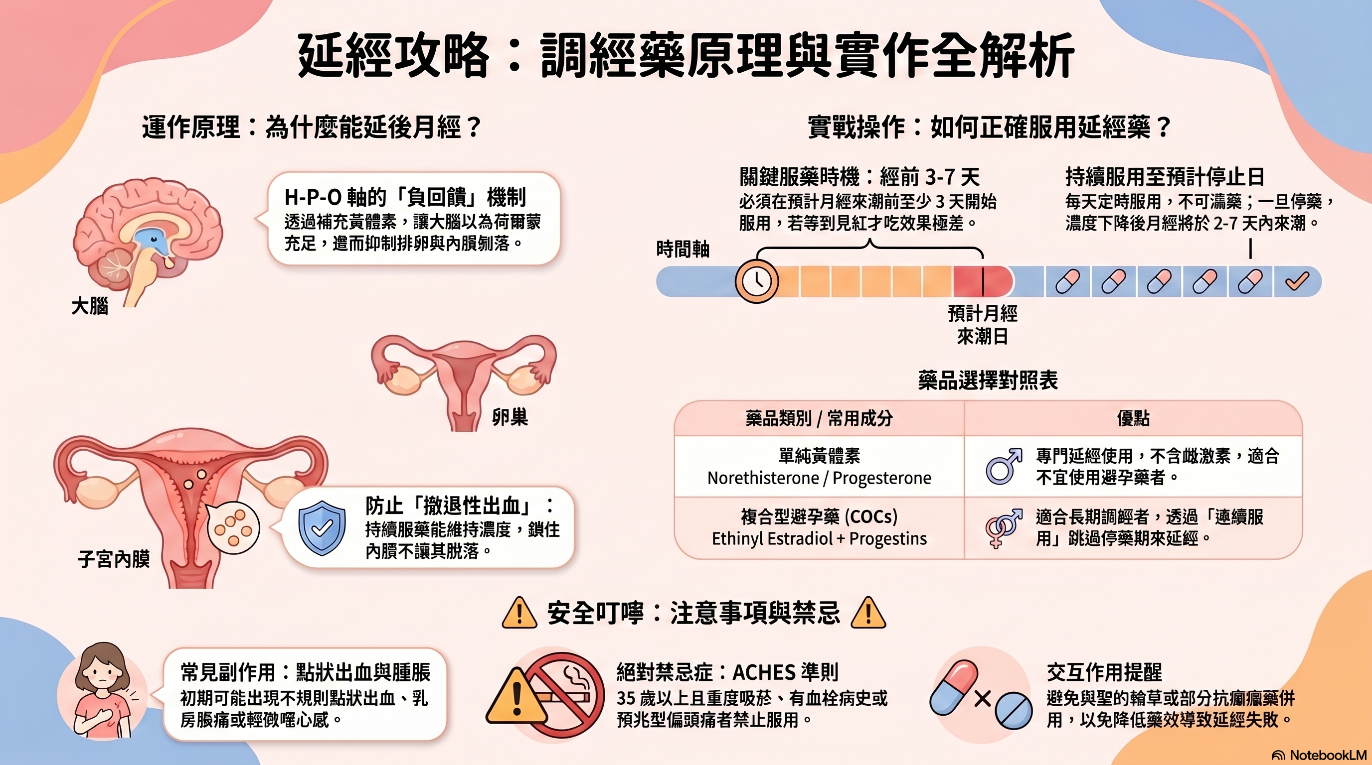 預覽