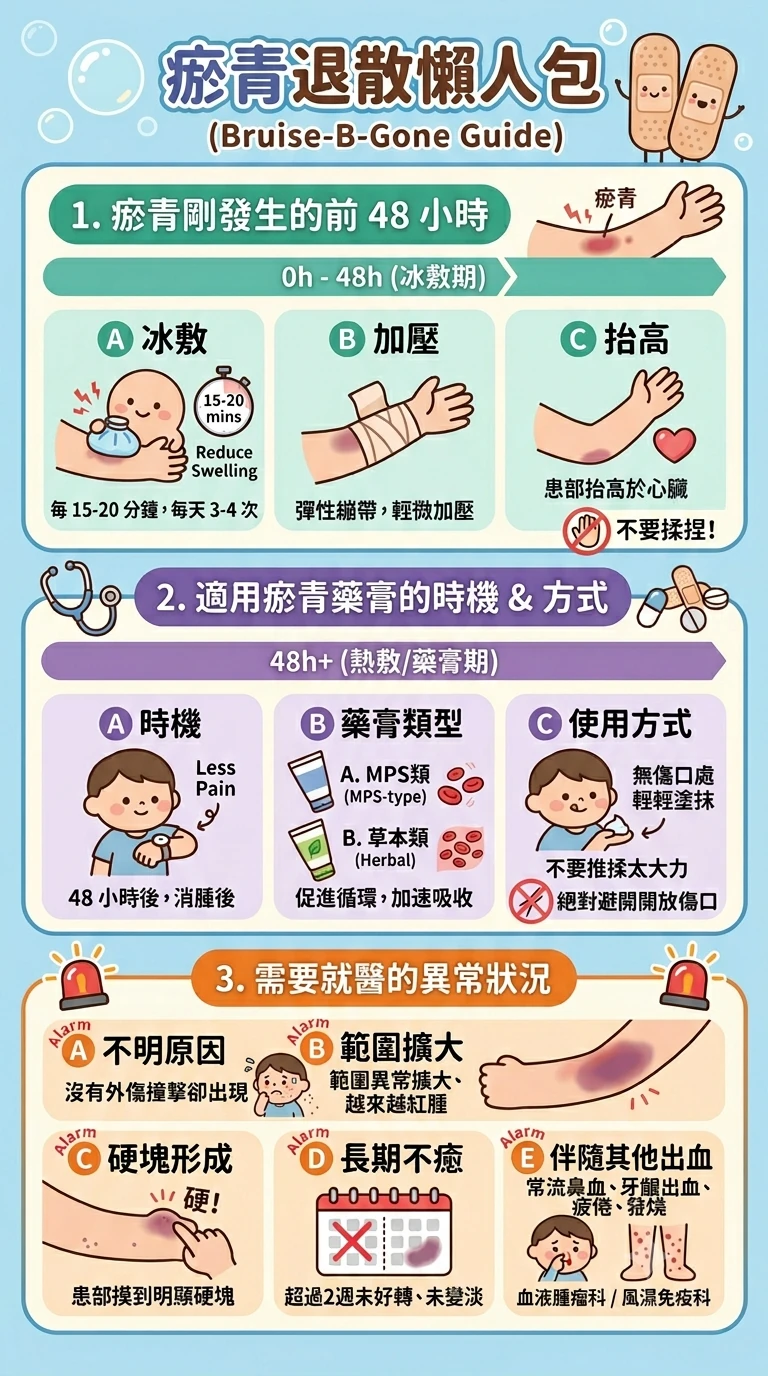 同系列圖卡 11