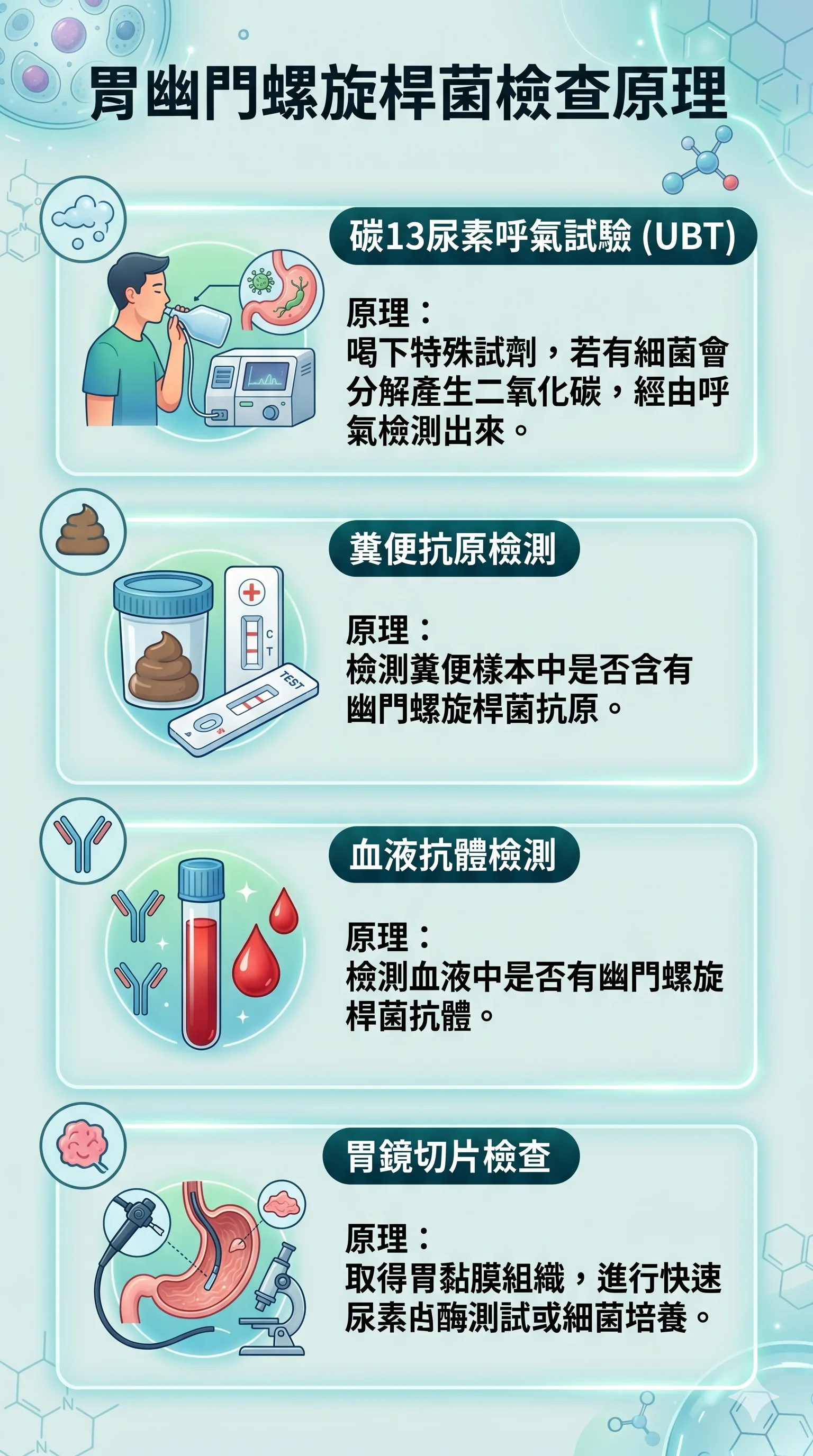 同系列圖卡 3